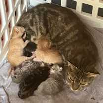 Thumbnail photo of Miss Richards #3