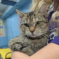 Thumbnail photo of Hattie #2