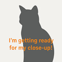 Thumbnail photo of Quill #2