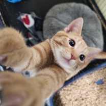 Thumbnail photo of Navy #3