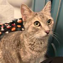 Thumbnail photo of Star #1