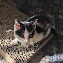 Thumbnail photo of Ivan #2