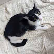 Thumbnail photo of Mother Teresa #2