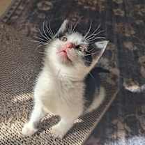 Thumbnail photo of Ivan #3