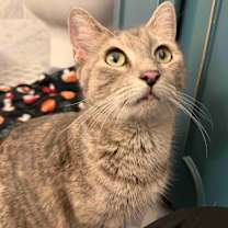 Thumbnail photo of Star #2