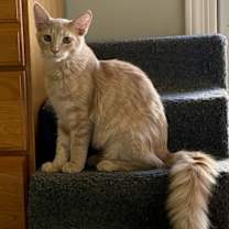 Thumbnail photo of David #4