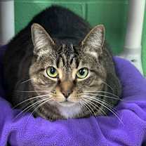 Thumbnail photo of Addie #3