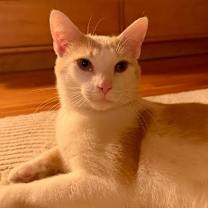 Thumbnail photo of Heath #1