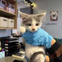 Thumbnail photo of Ravyn Yew #2