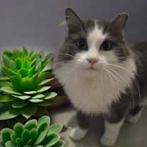 Thumbnail photo of Thumper #4