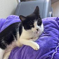 Thumbnail photo of Lana #4