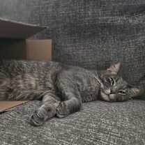 Thumbnail photo of Wilo #2