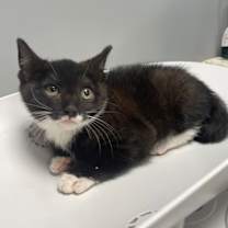 Thumbnail photo of Dave #1