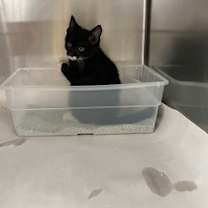 Thumbnail photo of Dave #2