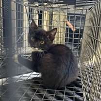 Thumbnail photo of Dave #3