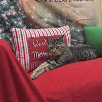 Thumbnail photo of Josh #2