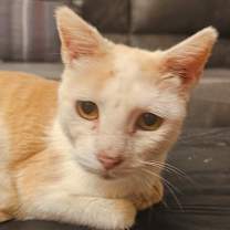 Thumbnail photo of Autumn #1