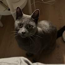 Thumbnail photo of Charleston #3