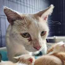 Thumbnail photo of Autumn #2