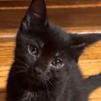 Thumbnail photo of Journey #3