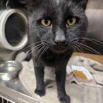 Thumbnail photo of Waffle #1