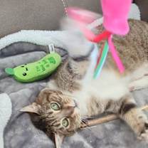 Thumbnail photo of Riley #3