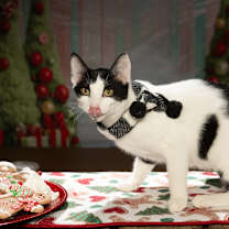 Thumbnail photo of Marty #1