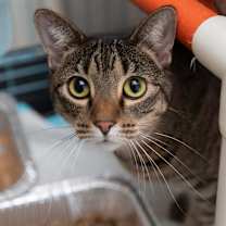 Thumbnail photo of Thelma #1