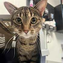 Thumbnail photo of Thelma #2