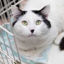 Thumbnail photo of Kazan #1