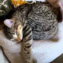 Thumbnail photo of Zen #4