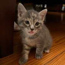 Thumbnail photo of Drew #1