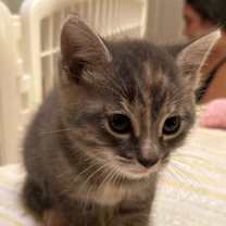 Thumbnail photo of Drew #2