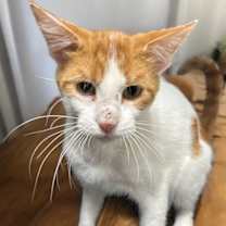 Thumbnail photo of Nate #4