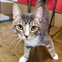 Thumbnail photo of Archie #1