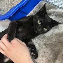 Thumbnail photo of Zoe #3