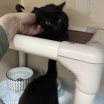 Thumbnail photo of Erwin #3