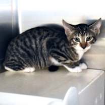 Thumbnail photo of Naiomi #2