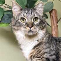 Thumbnail photo of Ellie #1