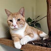 Thumbnail photo of Rudy #2