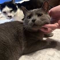 Thumbnail photo of April Showers #2