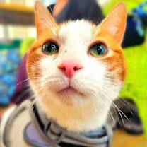 Thumbnail photo of Quinn #1