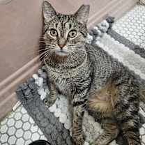 Thumbnail photo of Flora #1