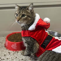 Thumbnail photo of Big Ben #1