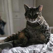 Thumbnail photo of Flora #2