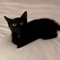 Thumbnail photo of Ruby #2