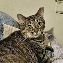 Thumbnail photo of Flora #3