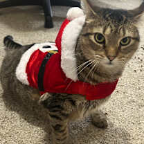 Thumbnail photo of Big Ben #3