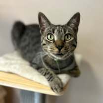 Thumbnail photo of Zack #4