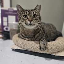 Thumbnail photo of Flora #4